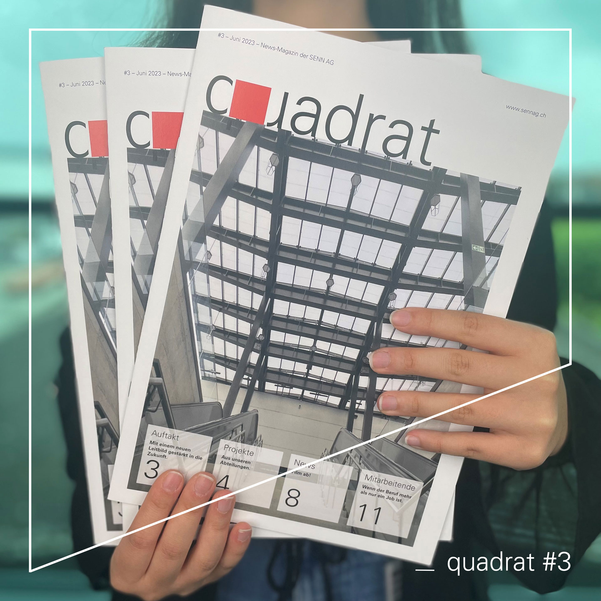 quadrat3.jpg