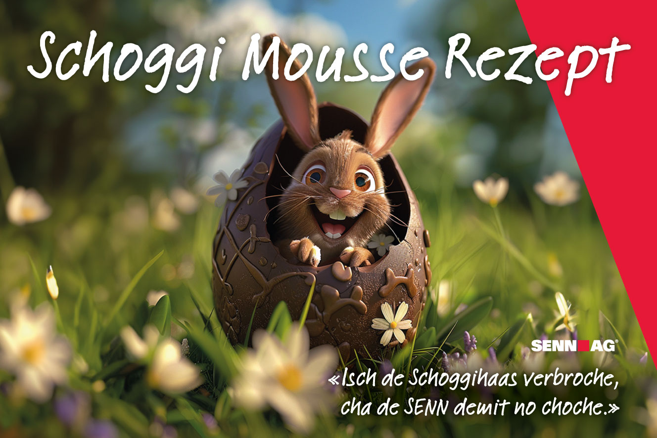 website_rezept_verbrochener_schoggihaas2.jpg